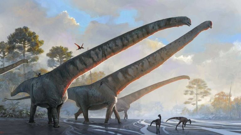 Le plus long cou de dinosaure a un nouveau record
