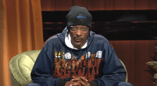 snoop dogg so dumb it