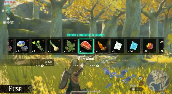 Les fans de Zelda: Tears of the Kingdom réclament la flèche de viande