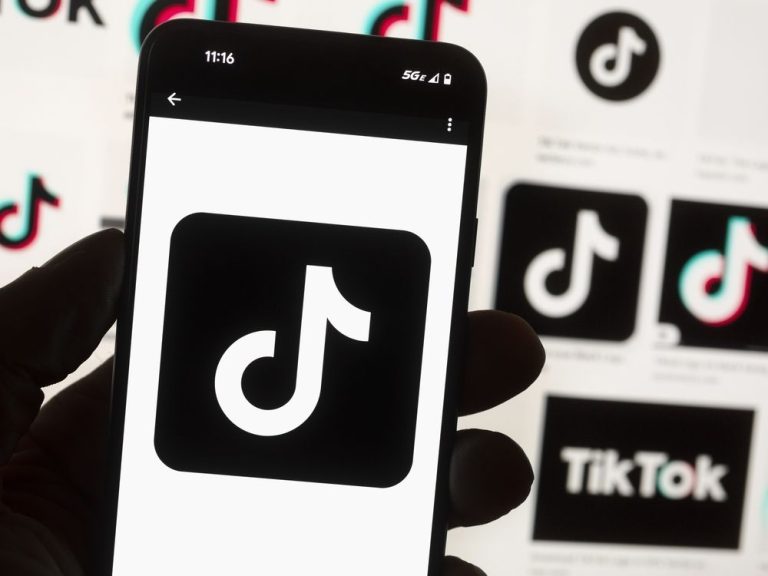 Les territoires rejoignent Ottawa et la plupart des provinces pour interdire TikTok sur les appareils gouvernementaux