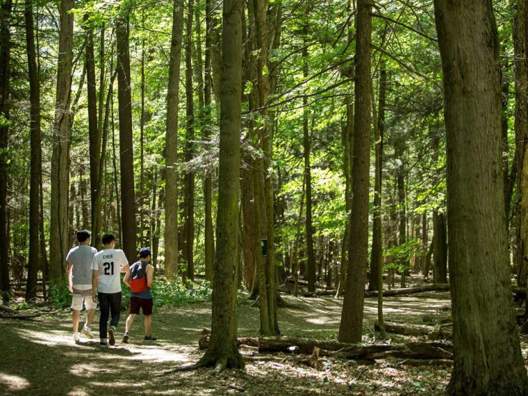 Nous pouvons arrêter le développement de la Ceinture de verdure de l’Ontario si une étude montre un impact négatif : ministre fédéral