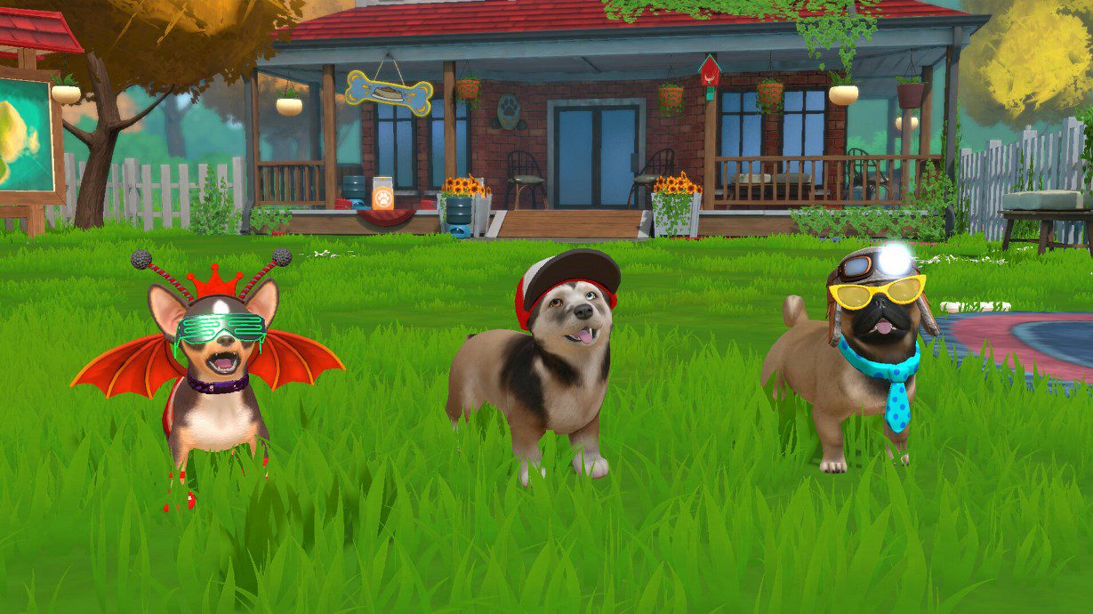 Puppy Island annoncé pour Switch
