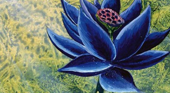 Rare Magic: The Gathering Black Lotus mis aux enchères, le dernier vendu à plus de 500 000 $