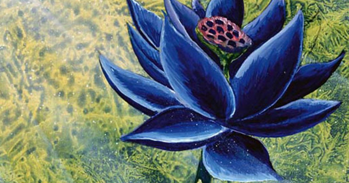 Rare Magic: The Gathering Black Lotus mis aux enchères, le dernier vendu à plus de 500 000 $
