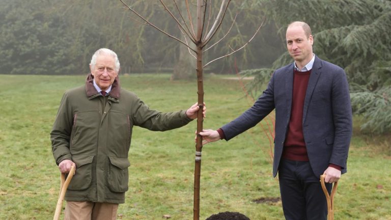 King remercie les personnes derrière le programme Queen’s Green Canopy après la plantation de 3 millions d’arbres