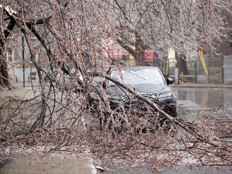 Tempête de verglas au Québec : Plus d’un million de clients sans électricité, un homme écrasé par un arbre