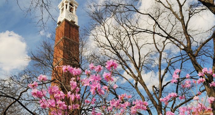 Votre guide d’étude sur les livres universitaires légers