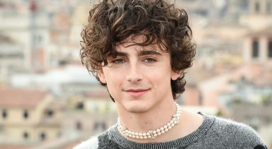 Timothée Chalamet reprendra la voix de Bob Dylan dans un nouveau biopic