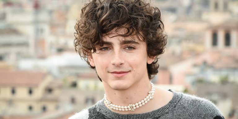 Timothée Chalamet reprendra la voix de Bob Dylan dans un nouveau biopic

