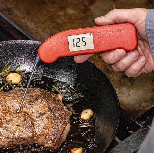 Thermapen One