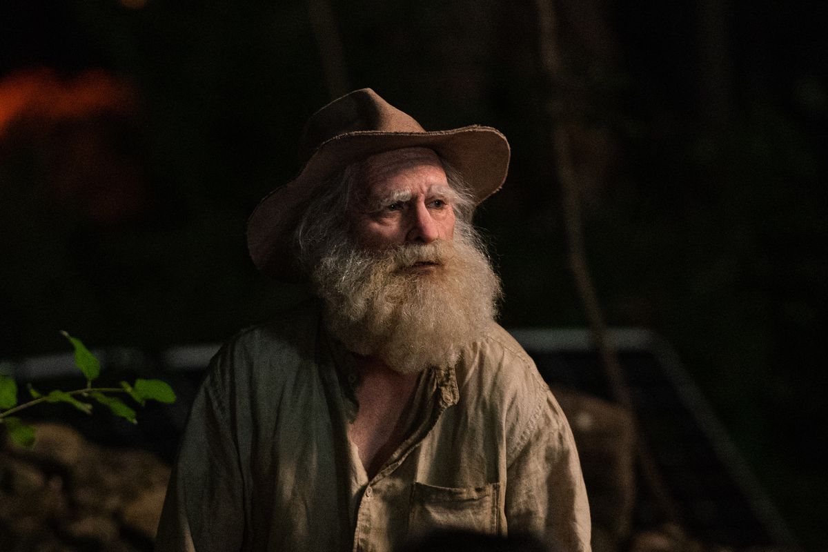 Joaquin Phoenix en maquillage de vieillesse dans Beau a peur portant un chapeau avec une énorme barbe