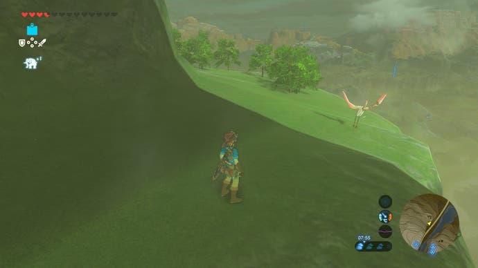 Oiseau des montagnes de Zelda