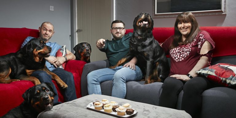 Les stars de Gogglebox ont une interruption de chien hilarante

