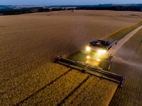 Un agriculteur récolte du blé en Alberta, en septembre.