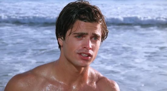 David Charvet in Baywatch