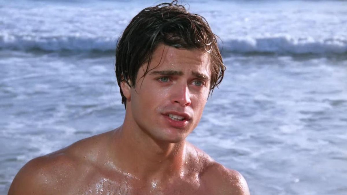 David Charvet in Baywatch