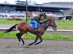 Prendre un trot sur la piste à l'hippodrome de Hastings à Vancouver cette semaine.