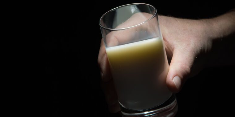 Le lait cru d’une ferme sans électricité déclenche une épidémie qui a failli tuer un bébé