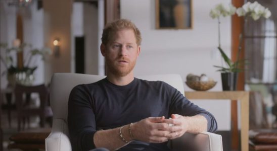 Prince Harry talking in the Netflix documentary Harry & Meghan