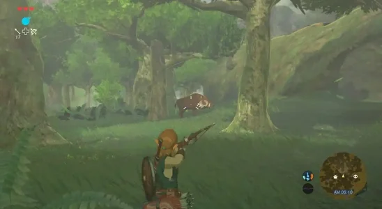 Breath of the Wild grâce à un mod