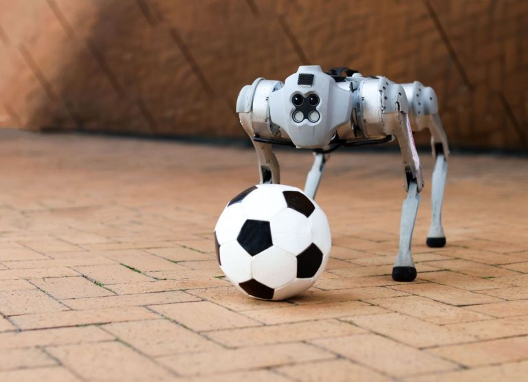 Ce chien robot peut jouer au football sur l’herbe, la boue et le sable