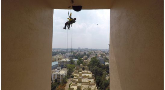 "Colonies in Conflict", le documentaire de Rajani Mani sur la menace pour les abeilles, repris par les studios ZDF (EXCLUSIF) Les plus populaires doivent être lus