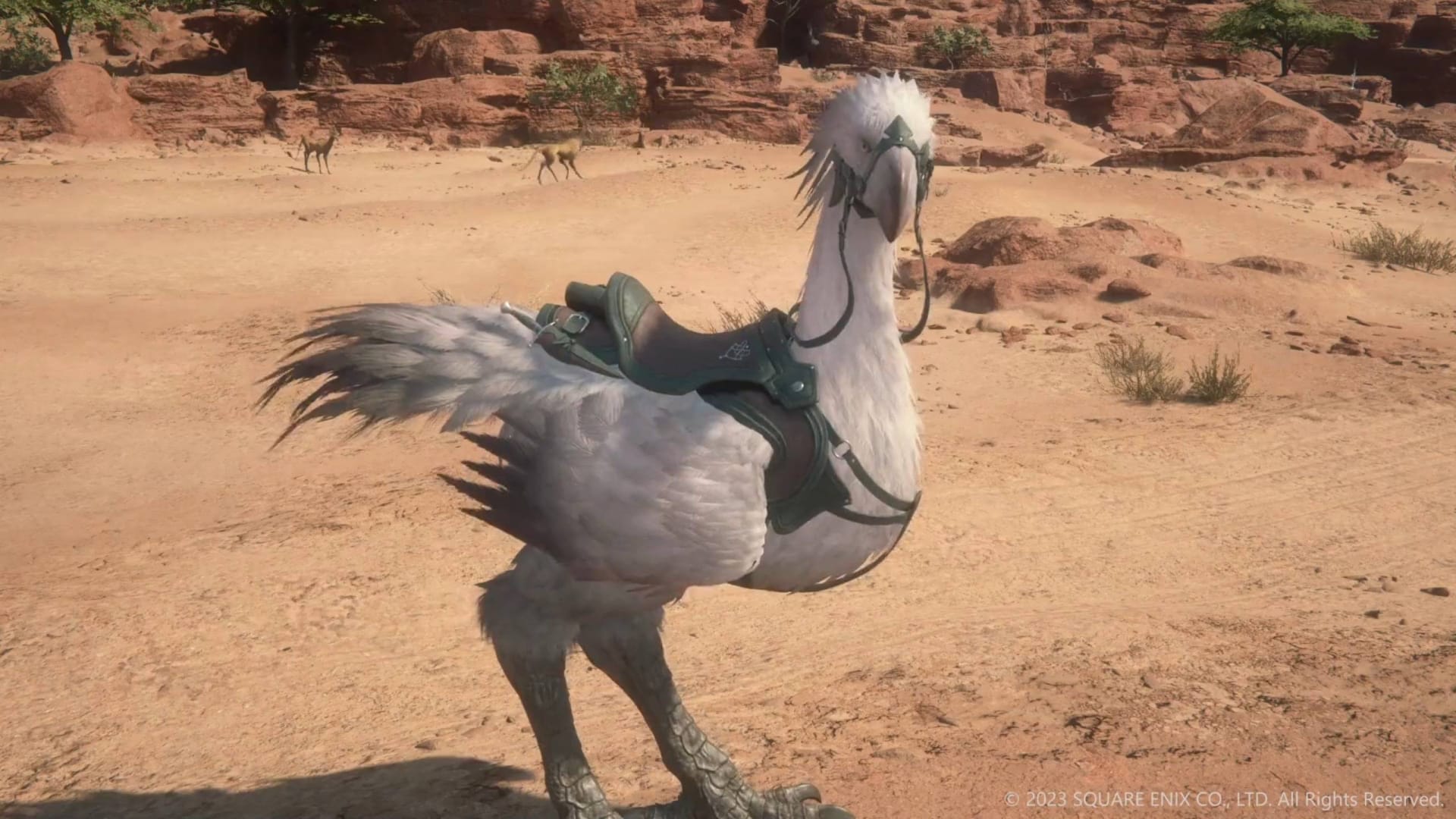 De nouvelles vidéos de Final Fantasy XVI montrent Chocobo et Torgal
