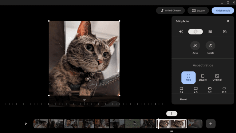 Google Photos obtient une nouvelle fonctionnalité majeure sur Chromebook