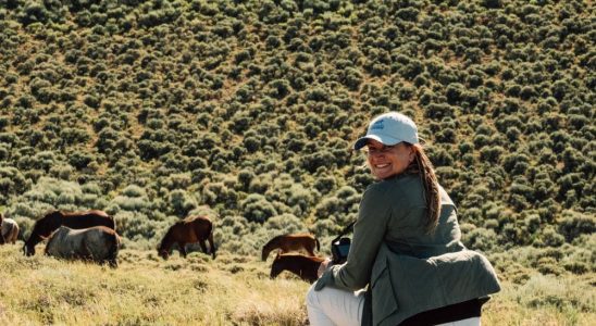 Gravitas Ventures achète le documentaire d'Ashley Avis « Wild Beauty : Mustang Spirit of the West » (EXCLUSIF)