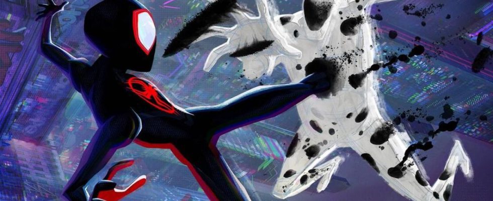 Miles Morales Spider-Man and Spot in Across the Spider-verse