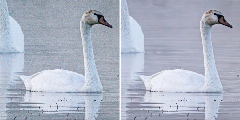 La mise à jour majeure d’Adobe Lightroom apporte une puissante réduction du bruit à vos photos