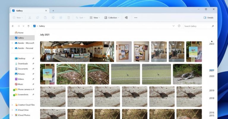 L’aperçu de Windows 11 apporte la vue « Galerie » de l’application Photo à l’explorateur de fichiers