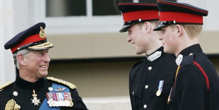 Le roi Charles mentionne le sentiment d’une « immense fierté » pour le prince Harry et William dans un nouveau discours