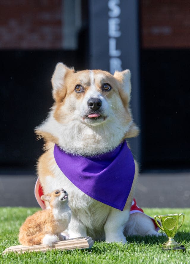 Corgi Derby 2023