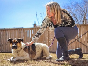 La mère adoptive Heidi Pietz passe du temps avec le chien de sauvetage Polka dans sa cour arrière du nord-ouest de Calgary le samedi 15 avril 2023.