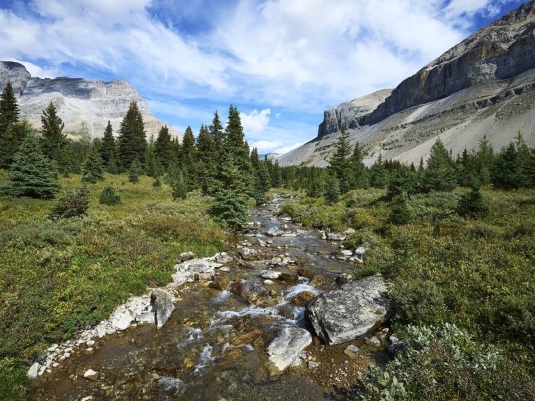 ‘RECKLESS’: Un juge de l’Alberta inflige une amende de 6 000 $ à un homme de la Colombie-Britannique pour avoir attrapé des truites dans le parc national de Banff