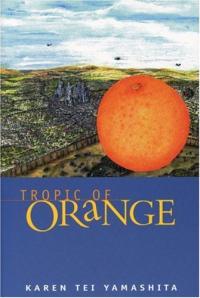 Tropique d’Orange : un résumé du roman et une description du guide d’étude