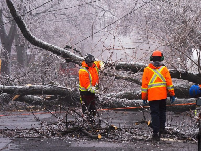 Un Québécois de 60 ans meurt après avoir été écrasé par un arbre à la suite d’une intense tempête de verglas