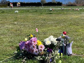 Des fleurs recouvrent complètement la plaque dédiée à Amar Najat Jalal au cimetière Vedder View de Chilliwack.  On pense que Sujjad Ali Jalal vient de se rendre sur la tombe de son jeune frère lorsqu'il a été attaqué et tué le 1er avril.