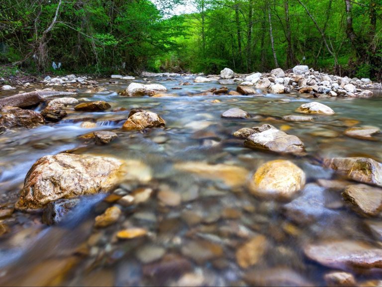 Un père en fuite a laissé tomber un enfant décédé dans un ruisseau: la police du Massachusetts