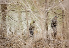 La Police provinciale de l'Ontario fouille la rive sud de la Tamise à Dorchester près de l'endroit où des restes humains ont été retrouvés le mercredi 15 février 2023. (Mike Hensen/The London Free Press)