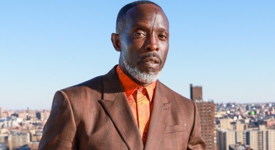 Un trafiquant d'héroïne plaide coupable dans l'affaire de décès par surdose de Michael K. Williams