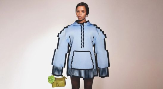 Loewe blue pixel hoodie.