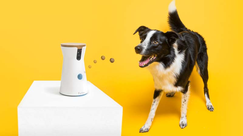 Caméra pour chien Furbo et distributeur de friandises