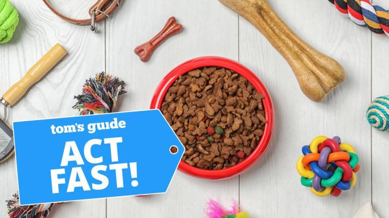 Amazon Pet Day 2023 – économisez jusqu’à 50% sur la nourriture, le bien-être et plus encore