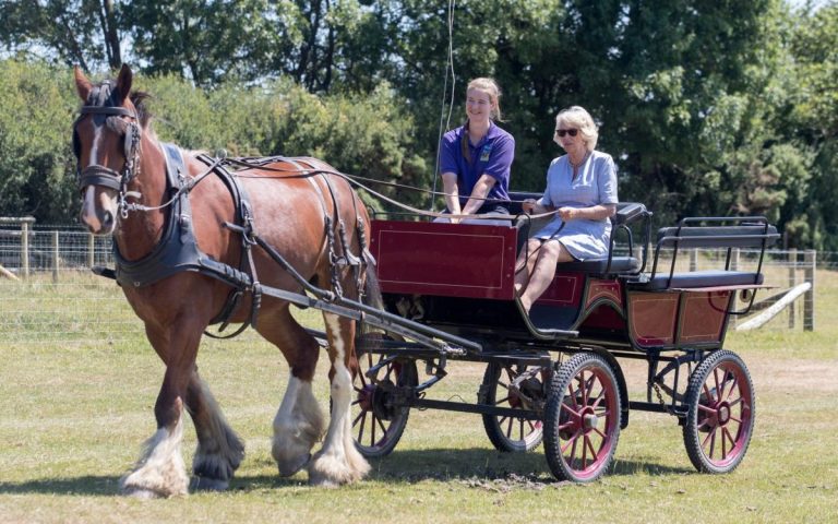 Drum Horse, qui dirigera le groupe Household Cavalry, a été repéré par la reine