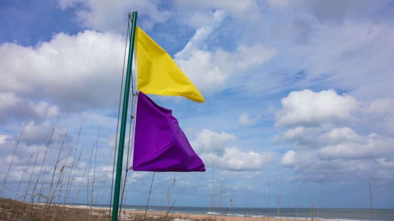 Que signifie un drapeau violet à la plage ?  – LifeSavvy