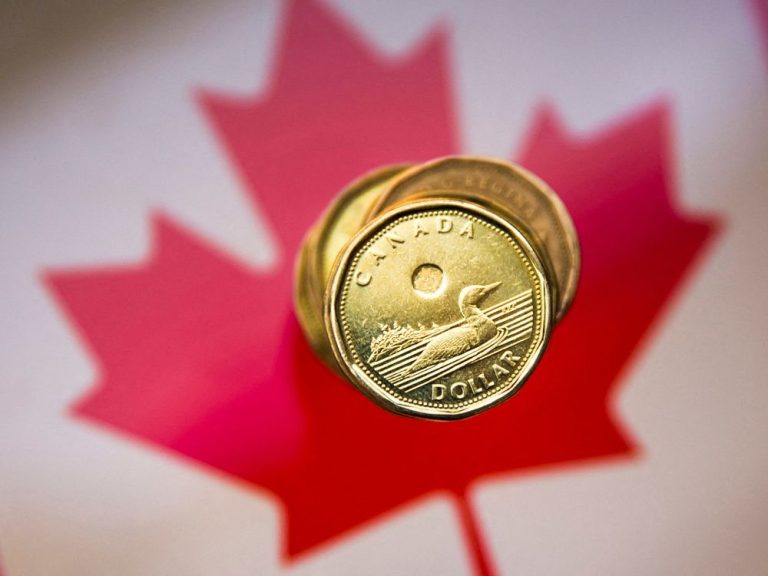 Voulez-vous un huard numérique?  La Banque du Canada veut savoir