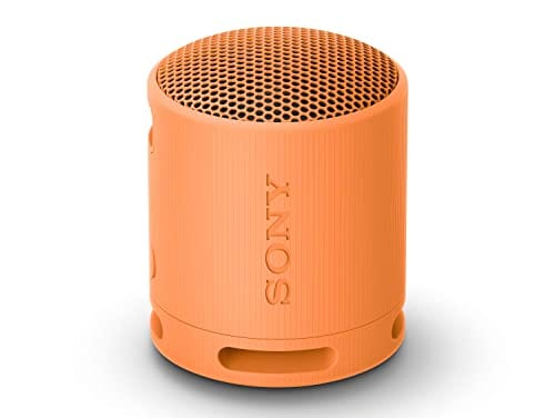 Sony SRS-XB100