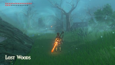 Zelda : Breath Of The Wild terminé à 100 % - Qu'est-ce que je rate ?